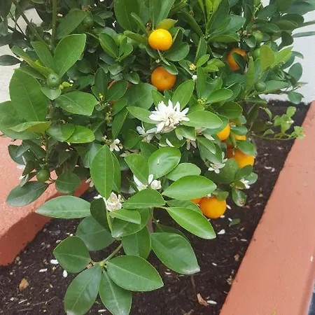 Boutique Cote D'azur 4* Niza