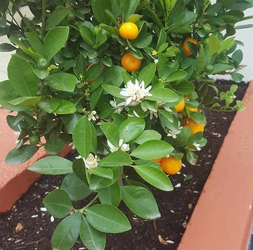 Boutique Cote D'azur 4* 니스